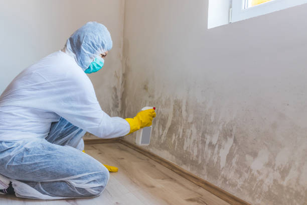 Licensed Commercial Mold Remediation service in Fredericksburg, TX - WQB Mold Removal