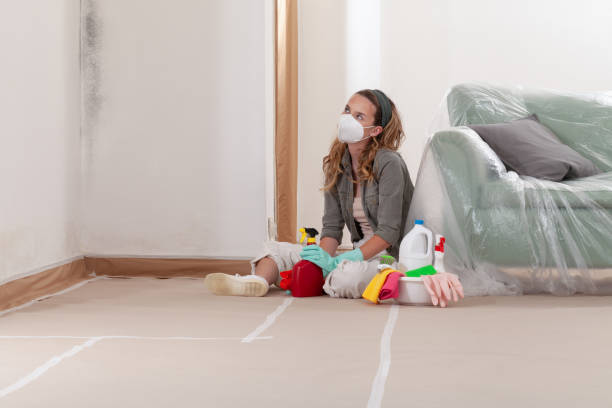 Reliable Commercial Mold Remediation contractor in Fredericksburg, TX by WQB Mold Removal